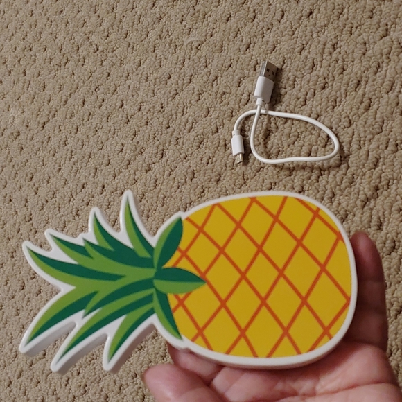 Pineapple charger - Picture 2 of 6